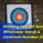 Shillong Teer Hit Number Whatsapp