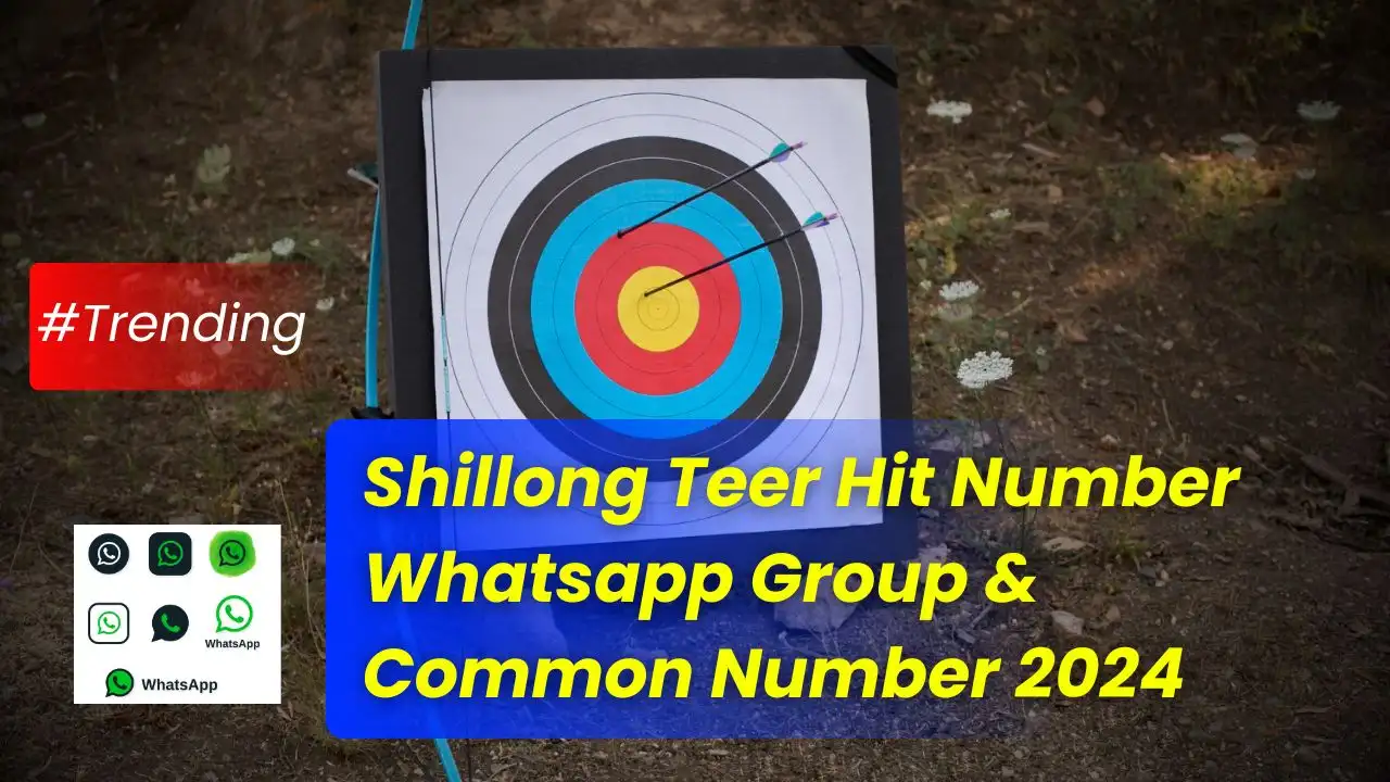 Shillong Teer Hit Number Whatsapp